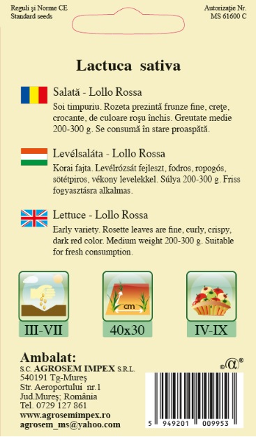 Salată creață - Lollo Rossa