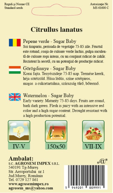 Pepene verde - Sugar Baby