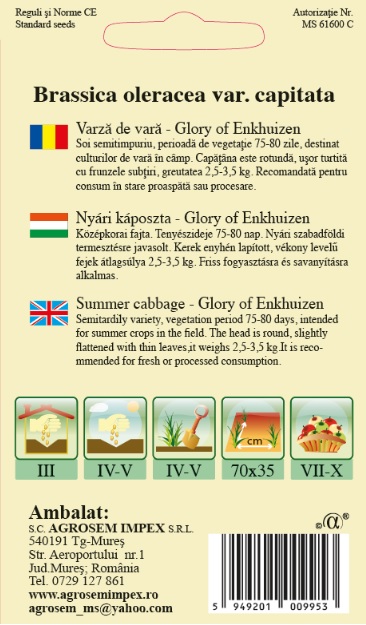 Varză de vară - Glory of Enkhuizen