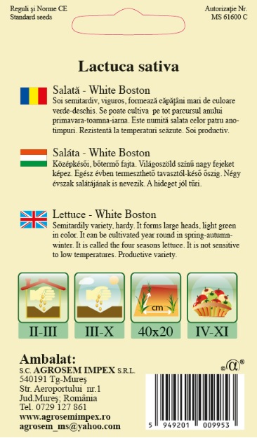 Salată - White Boston