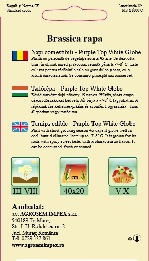 Napi comestibili - Purple Top White Globe
