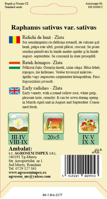 Ridichi de lună - Zlata