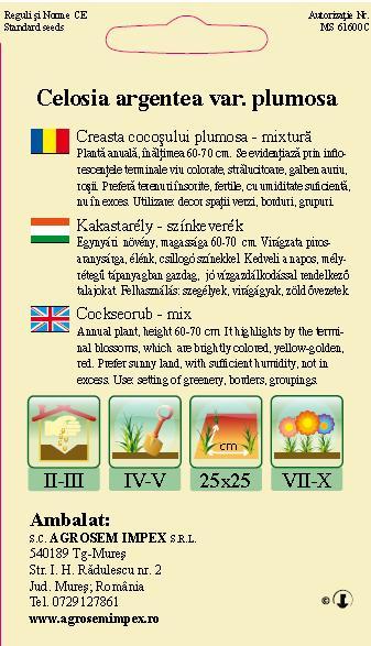 Creasta cocoșului plumosa