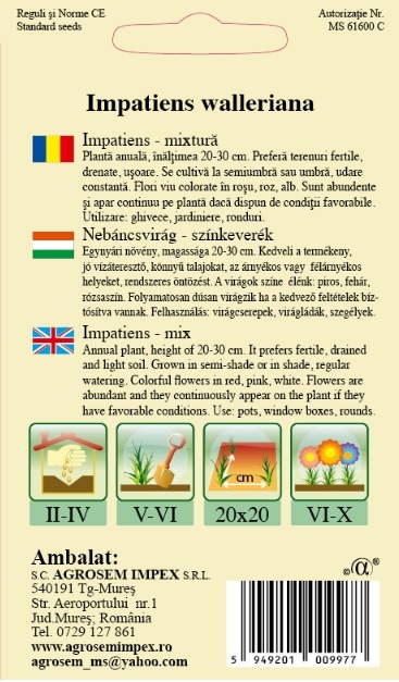 Impatiens - Sporul casei