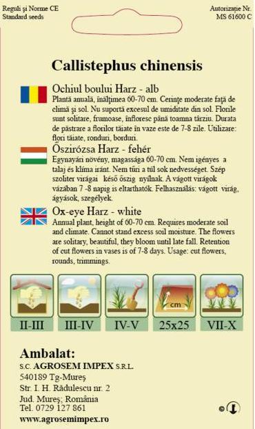 Ochiul boului Harz Alb