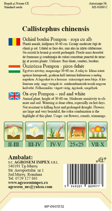 Ochiul boului Pompon Roşu cu Alb