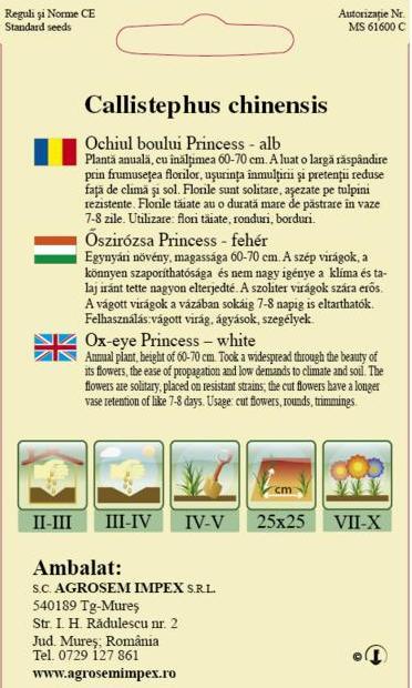 Ochiul Boului Princess Alb