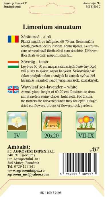 Sărăturică alba