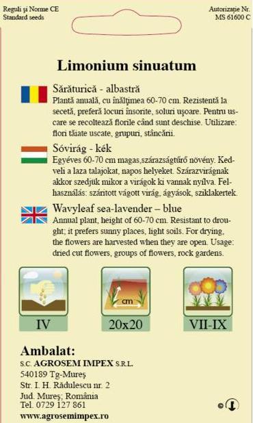 Sărăturică albastră