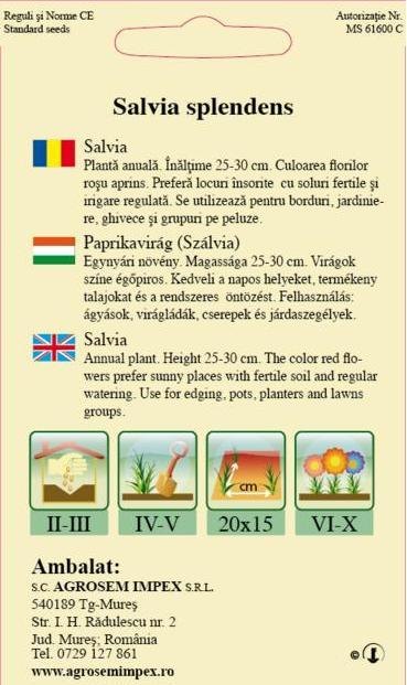 Salvia roșie