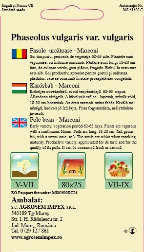 Fasole urcătoare - Marconi