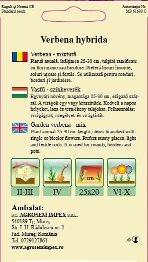 Verbena