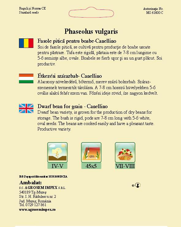 Fasole pitică pentru boabe - Canellino