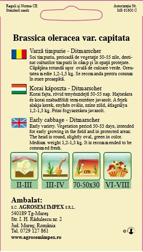 Varză timpurie - Ditmarscher
