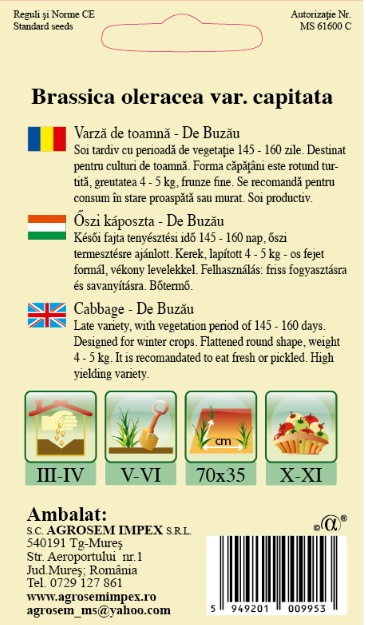 Varză de toamnă - Buzoiana