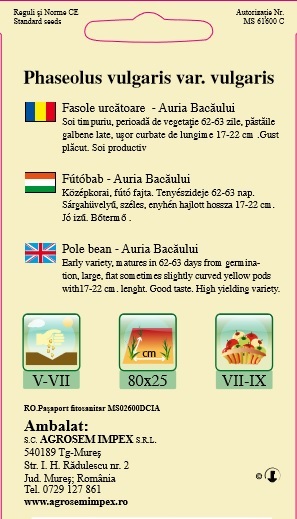 Fasole urcătoare - Auria Bacăului