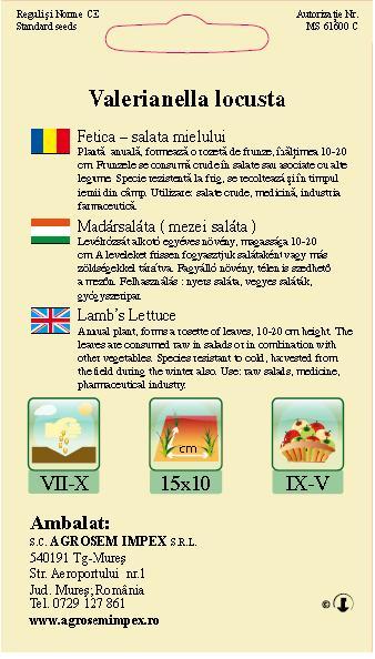 Fetică - Salata mielului
