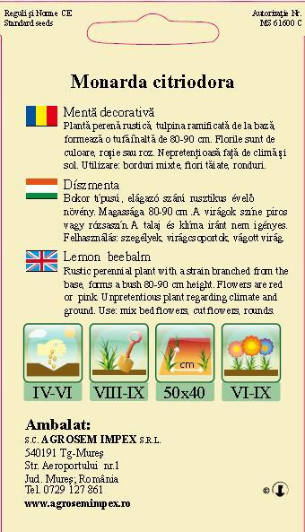 Mentă decorativă