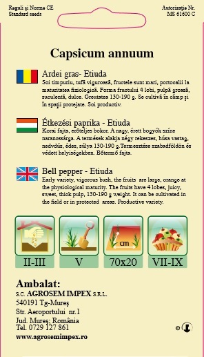 Ardei gras - Etiuda