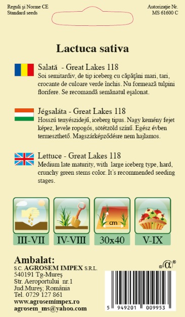 Salată iceberg - Great Lakes 118