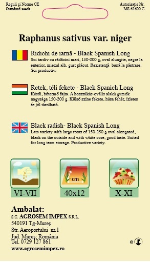 Ridichi de iarnă -Black Spanish Long