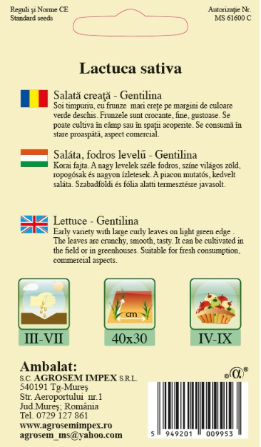 Salată creață - Gentilina