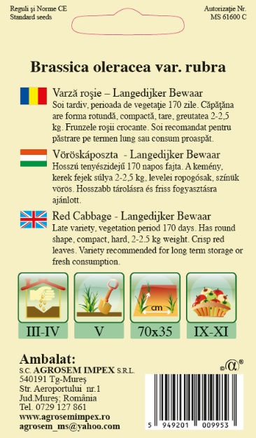 Varză roşie -Langedijker Bewaar