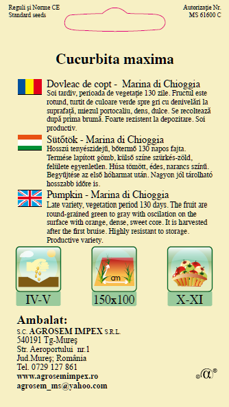 Dovleac de copt-Marina di Chioggia