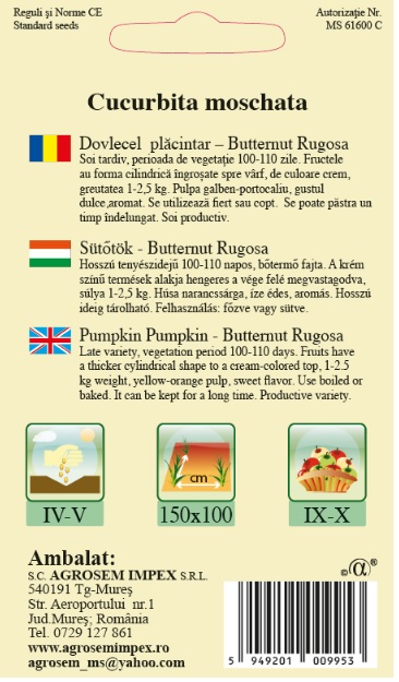 Dovlecel placintar-Butternut Rugosa