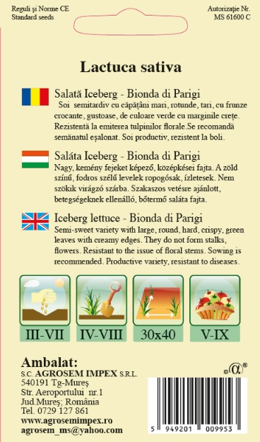 Salată Iceberg-Bionda di Parigi