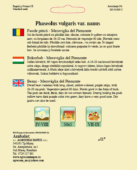 Fasole pitică-Meraviglia del Piemonte