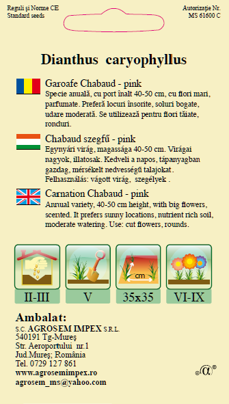 Garoafe Chabaud Pink