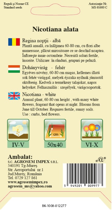 Regina nopții albă