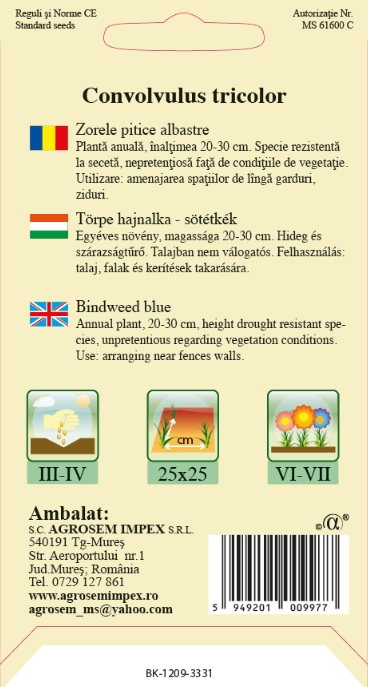 Zorele pitice albastre