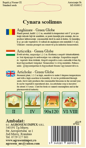 Anghinare-Green Globe