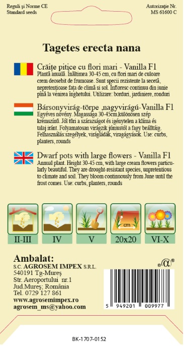 Crăițe pitice cu flori mari Vanilla F1