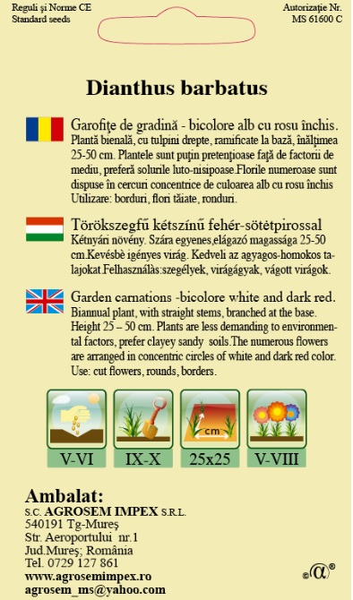 Garofiţe de grădină Holborn Glory