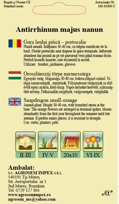 Gura leului pitică portocalie
