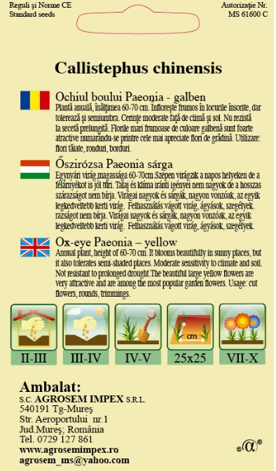 Ochiul boului Paeonia Galben Janina