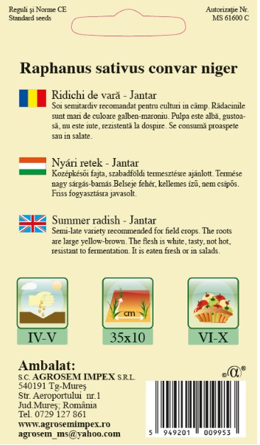 Ridichi de vară - Jantar
