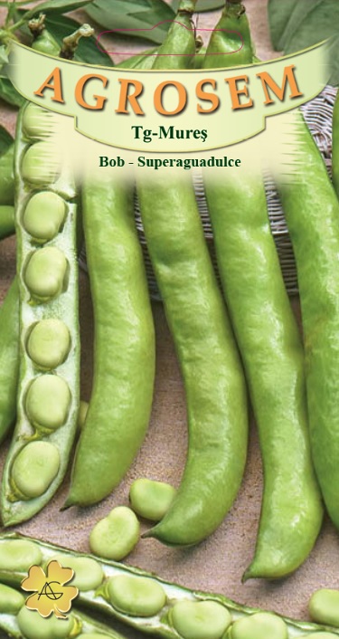 Bob - Superaguadulce