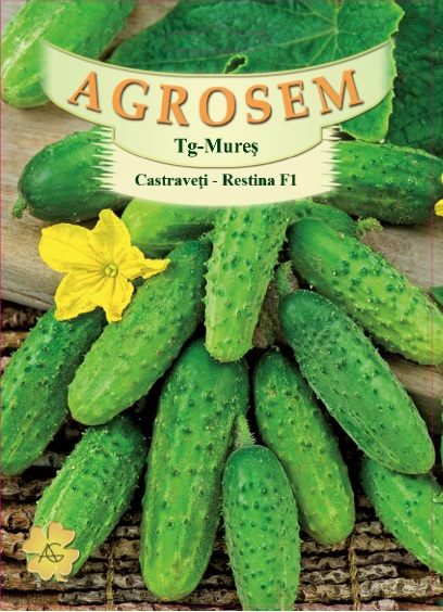 Castraveţi Restina -F1