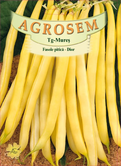 Fasole pitica - Dior