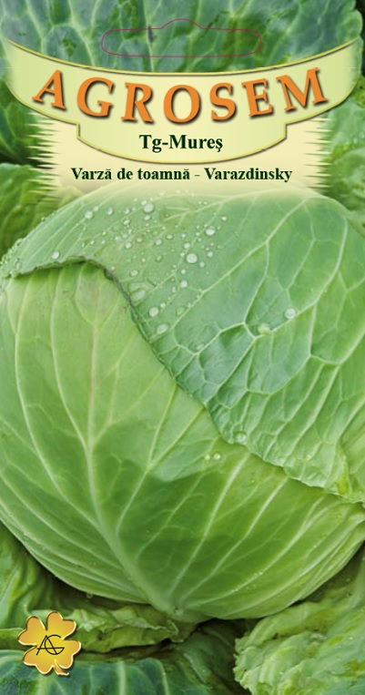 Varză de toamnă - Varazdinsky