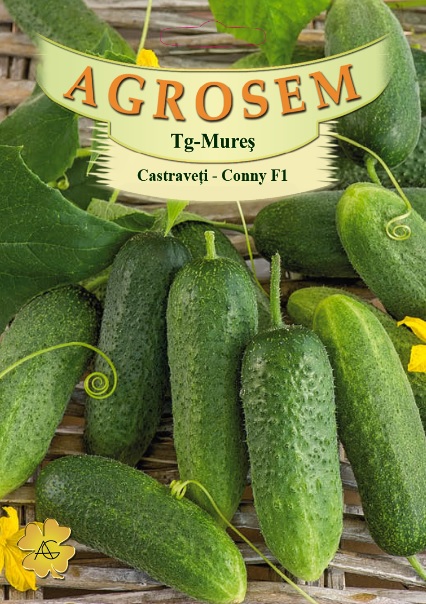 Castraveți - Conny F1