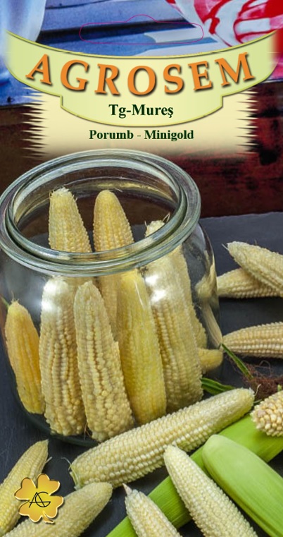 Porumb zaharat - Minigold