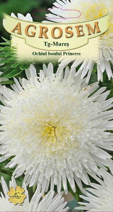 Ochiul Boului Princess Alb