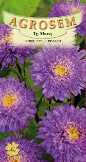 Ochiul Boului Princess Mov