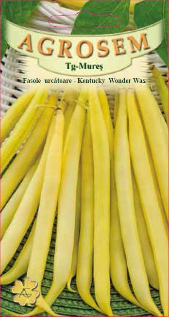 Fasole urcătoare - Kentucky Wonder Wax