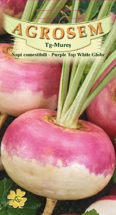 Napi comestibili - Purple Top White Globe